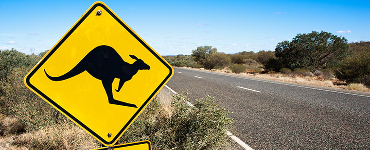 Australia's leading agriculture recruitment specialists labour hire seasonal workers